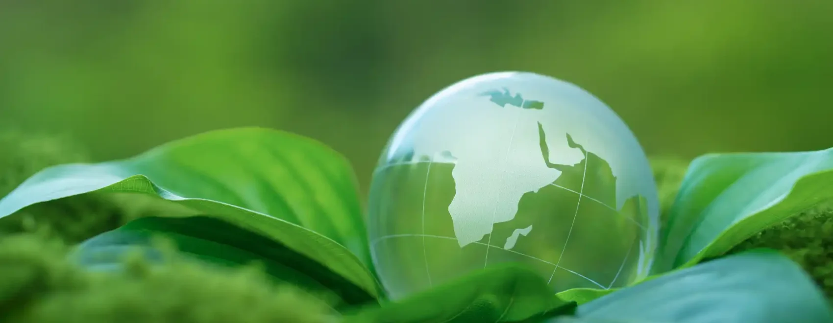 Sustainability